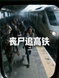 丧尸追高铁二