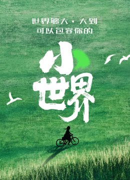 小世界