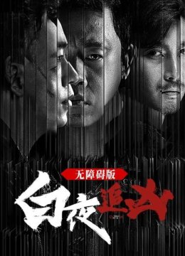 白夜追凶无障碍版