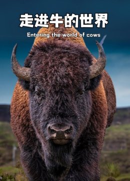 走进牛的世界
