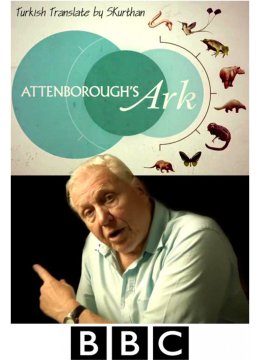 大卫爱登堡的方舟