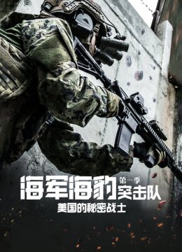 海军海豹突击队美国的秘密战士第1季
