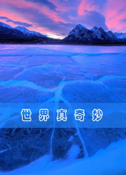 世界真奇妙