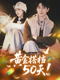 《黄金搭档50天》