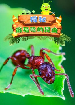 探秘最危险的昆虫