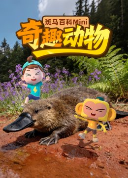 斑马百科mini奇趣动物