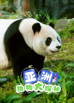 亚洲动物大探秘