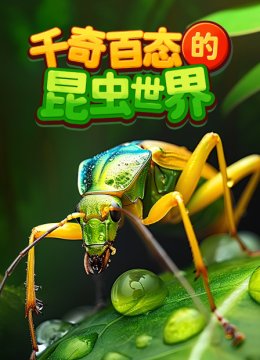 千奇百态的昆虫世界