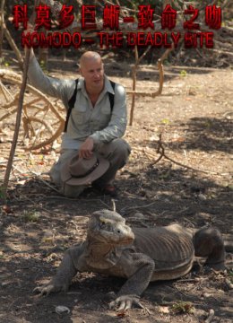 科莫多巨蜥致命之吻