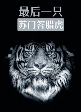 最后一只苏门答腊虎