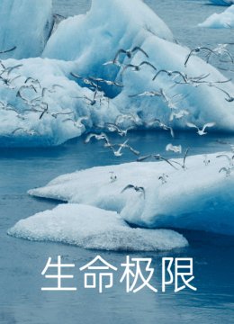 生命极限