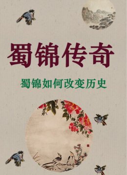 蜀锦传奇蜀锦如何改变历史