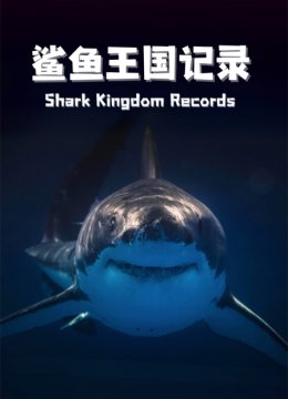 鲨鱼王国记录