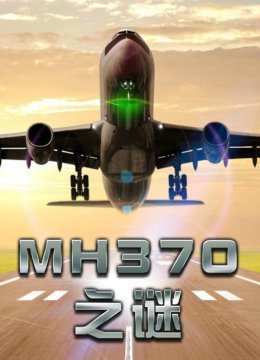MH370之谜