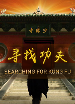 寻找功夫