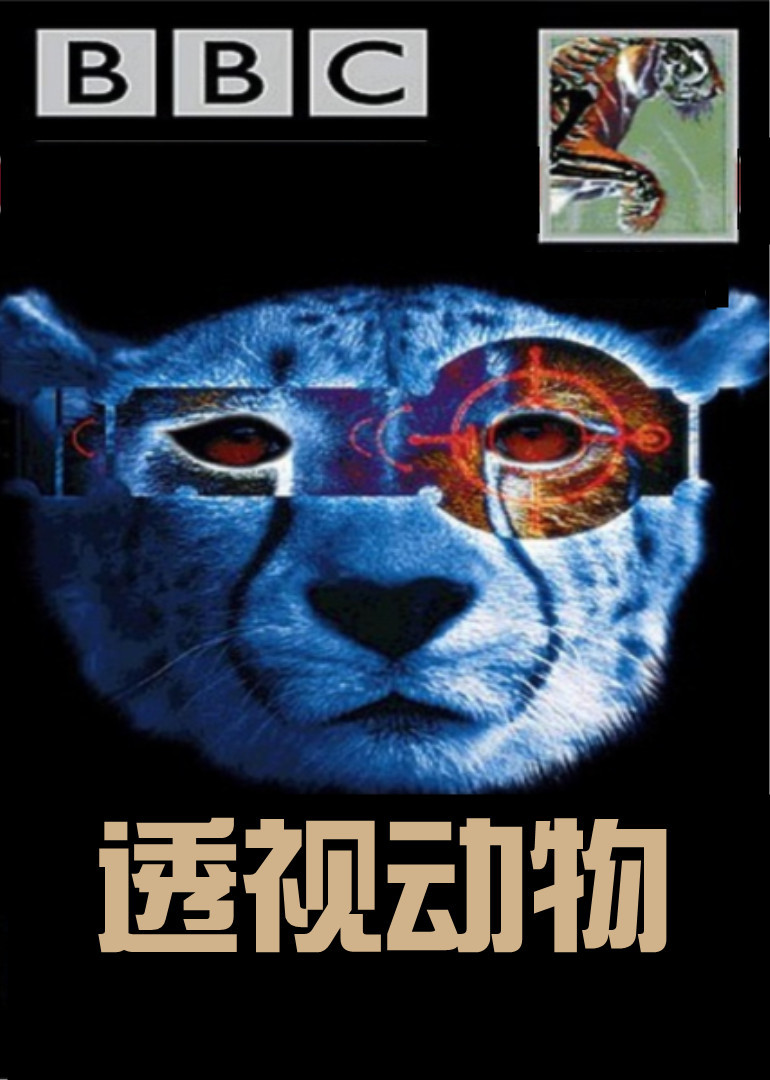 BBC透视动物生存挣扎