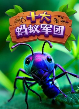十大蚂蚁军团