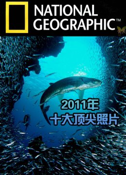 十大顶尖照片