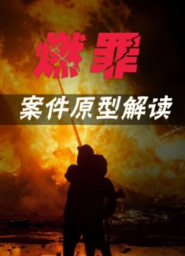 燃罪案件原型解读