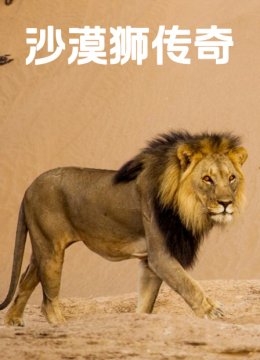沙漠狮传奇