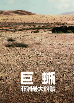 巨蜥非洲最大的贼