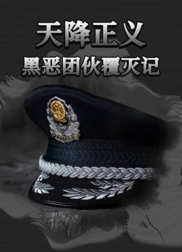 天降正义黑恶团伙覆灭记