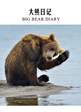 大熊日语记