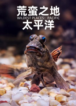 荒蛮之地太平洋