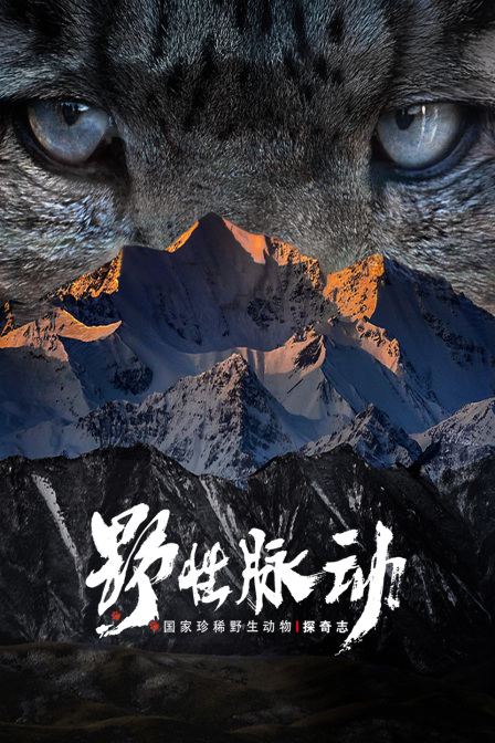 野性脉动国家珍稀野生动物探奇志