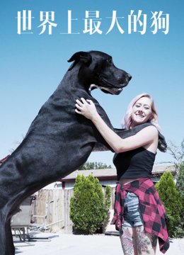 世界上最大的狗