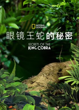 眼镜王蛇的秘密