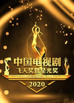 大陆电视剧飞天奖暨星光奖2020