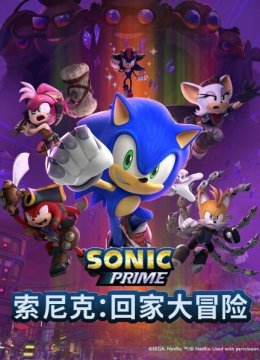 索尼克回家大冒险