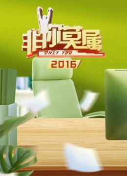 非你莫属2016