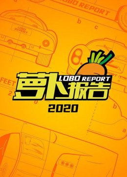 萝卜报告2020