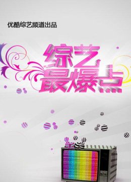 综艺最爆点2013