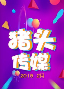 猪头传媒20152月