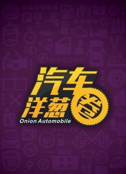 汽车洋葱圈2015