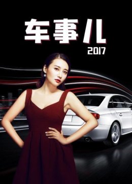 车事儿2017