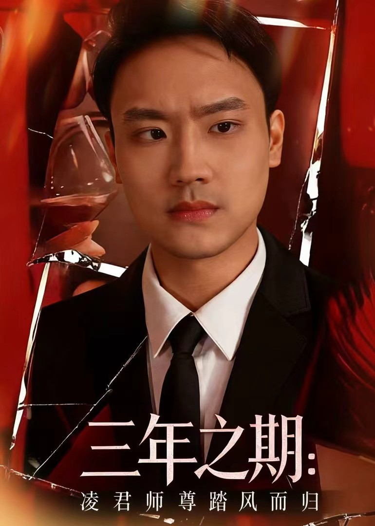 三年之期凌君师尊踏风而归