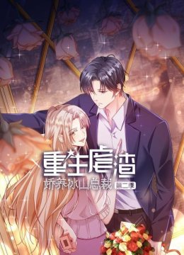 重生虐渣娇养冰山总裁第2季