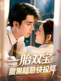 一胎双宝腹黑陆总快投降