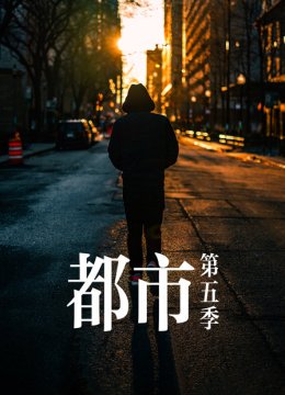都市第5季