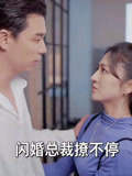 闪婚总裁撩不停