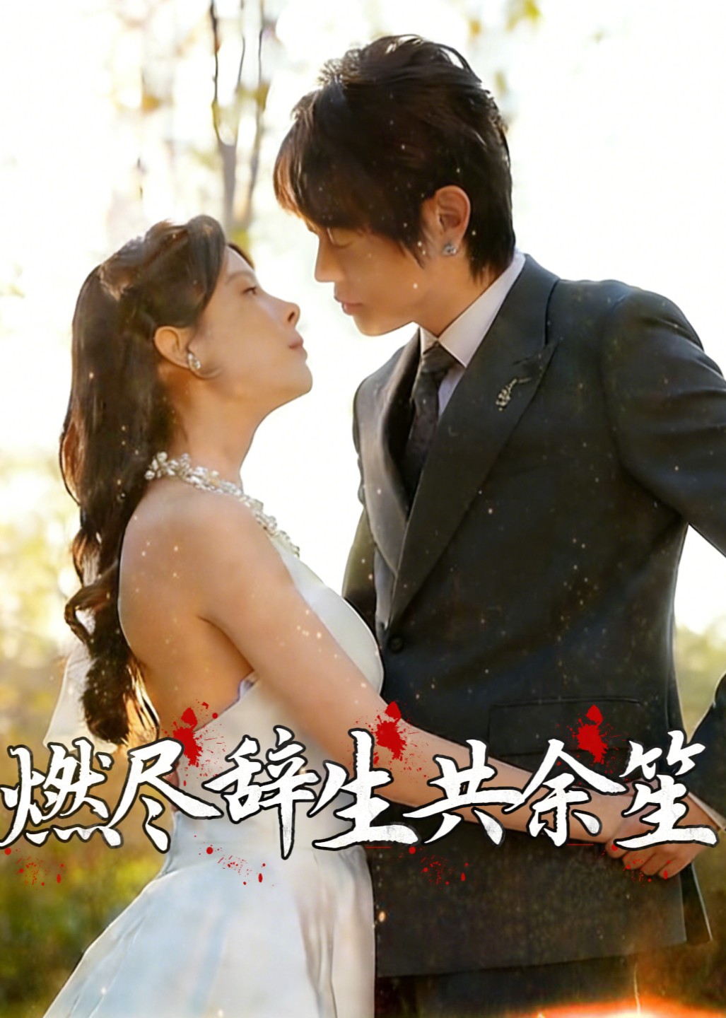 燃尽辞生共余笙