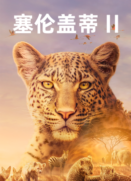 塞伦盖蒂第2季[普通话版]
