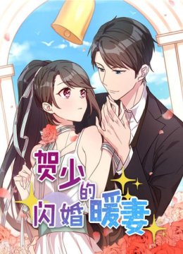 贺少的闪婚暖妻