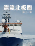 漂流北极圈冰上一年英语文版
