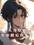 天才赘婿女帝醒后我无敌