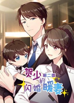 贺少的闪婚暖妻第2季